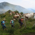 IMG_4999.jpg