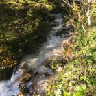 IMG_3817.jpg