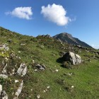 IMG_3821.jpg