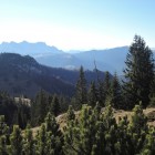 DSCN2878.jpg