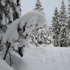 DSCN3053.jpg