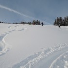 DSCN3245.jpg