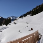 DSC_9035.jpg