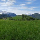 IMG_0021.jpg