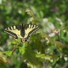 IMG_0028.jpg