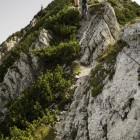IMG_9687.jpg