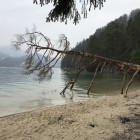 IMG_5503.jpg